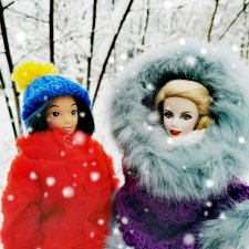 Зимняя прогулка