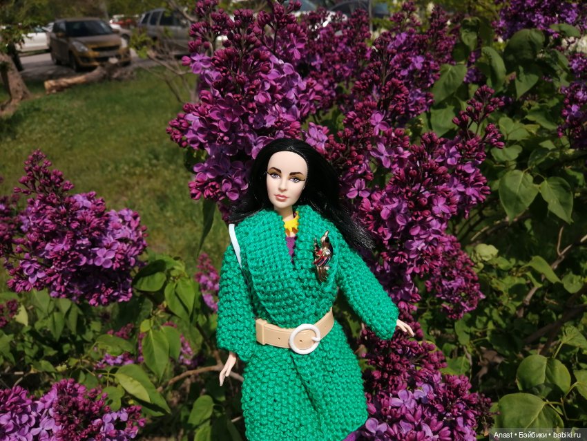 Расцвела в Волгограде сирень (фото 2)