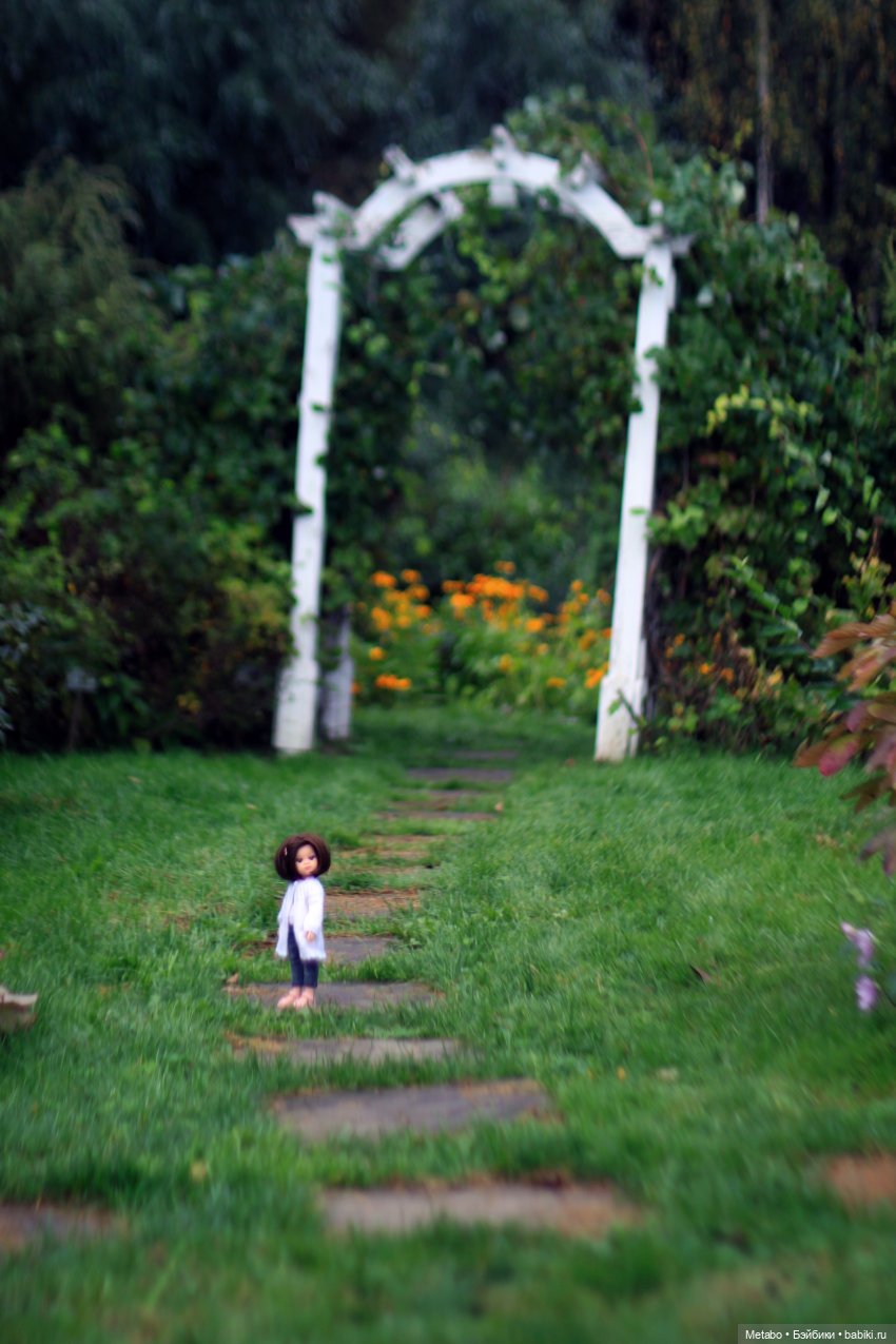 Большое путешествие Миши — Куклы Paola Reina (Паола Рейна): новинки