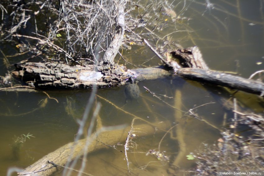 Лиушка на природе — Куклы Paola Reina (Паола Рейна): новинки