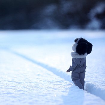 Мелкая в снежных просторах