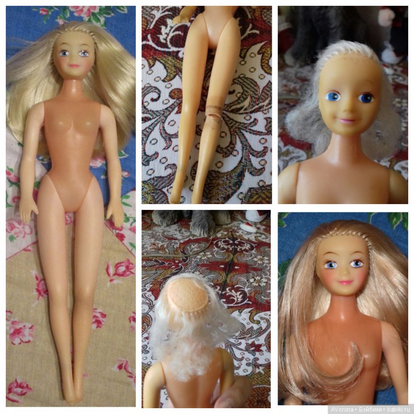 Вероники, которые лечились в моей больничке (фото 10)