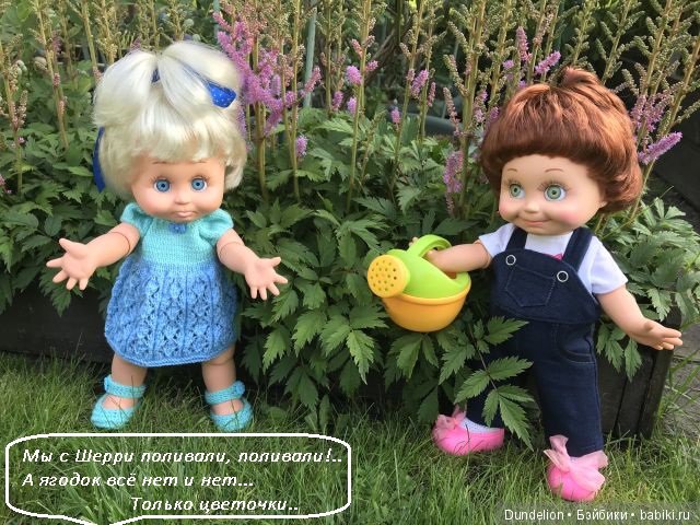 Приключения Рыжульки и Обижульки на даче. Шерри и Сара от Baby Face (фото 5)