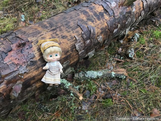 Осенняя прогулка Машки — Куклы Маша и Медведь (Simba): Маша в кармашке (фото 5)