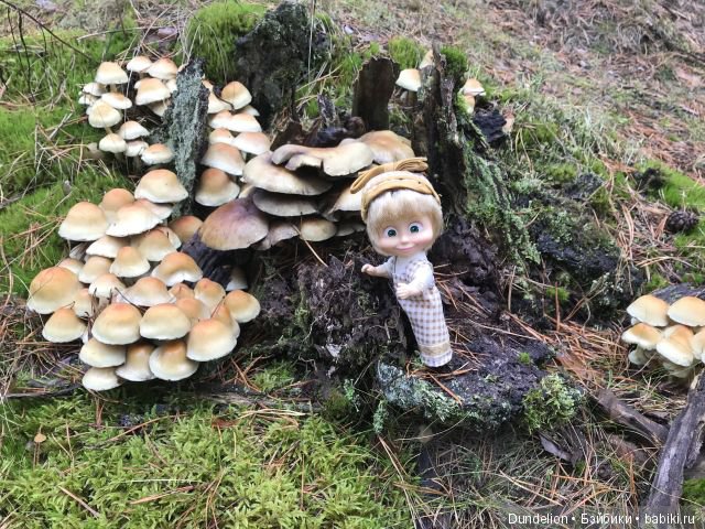 Осенняя прогулка Машки — Куклы Маша и Медведь (Simba): Маша в кармашке (фото 3)