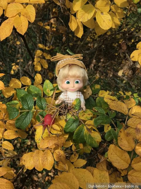 Осенняя прогулка Машки — Куклы Маша и Медведь (Simba): Маша в кармашке