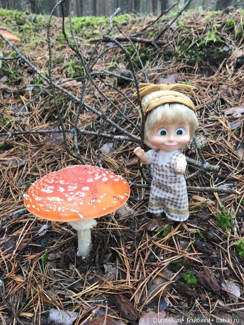 Осенняя прогулка Машки — Куклы Маша и Медведь (Simba): Маша в кармашке (фото 4)