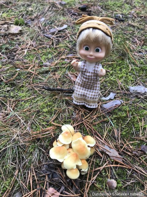 Осенняя прогулка Машки — Куклы Маша и Медведь (Simba): Маша в кармашке (фото 2)