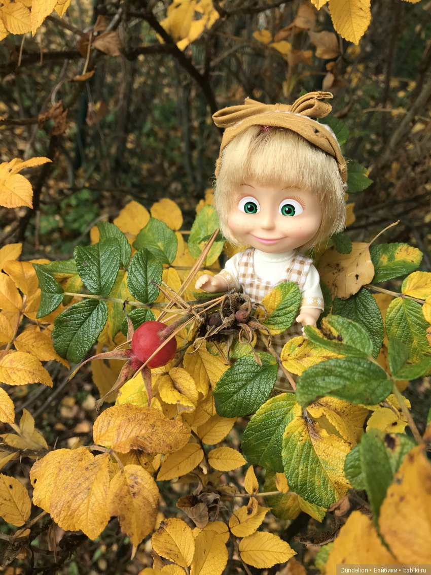 Осенняя прогулка Машки — Куклы Маша и Медведь (Simba): Маша в кармашке