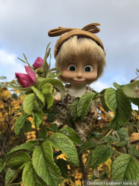 Осенняя прогулка Машки — Куклы Маша и Медведь (Simba): Маша в кармашке (фото 10)