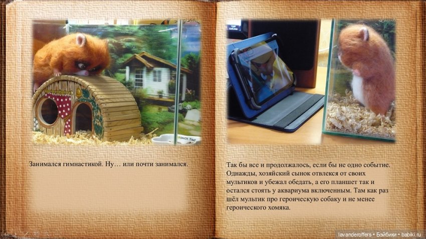 Хома. Моя первая видеокнига. Глава 1 (фото 3)