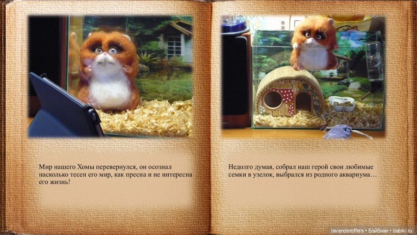 Хома. Моя первая видеокнига. Глава 1 (фото 4)