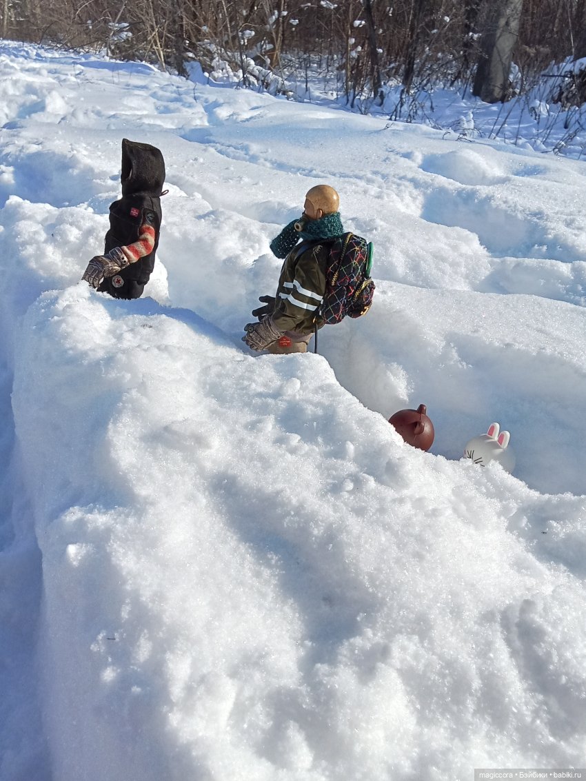 Прогулка по снегу — Экшн (фото 2)