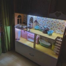 А как живут ваши Крузики?