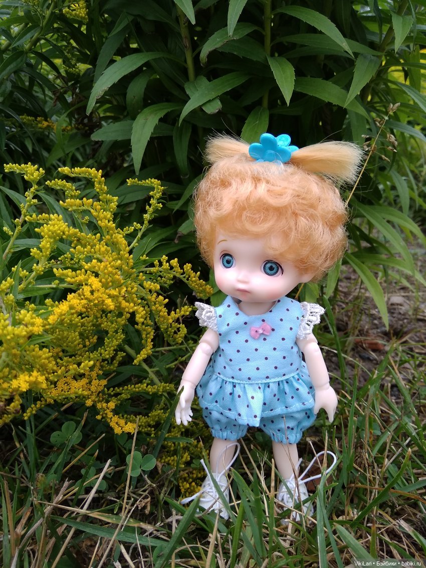 Сонечка. Знакомство. Первая прогулка