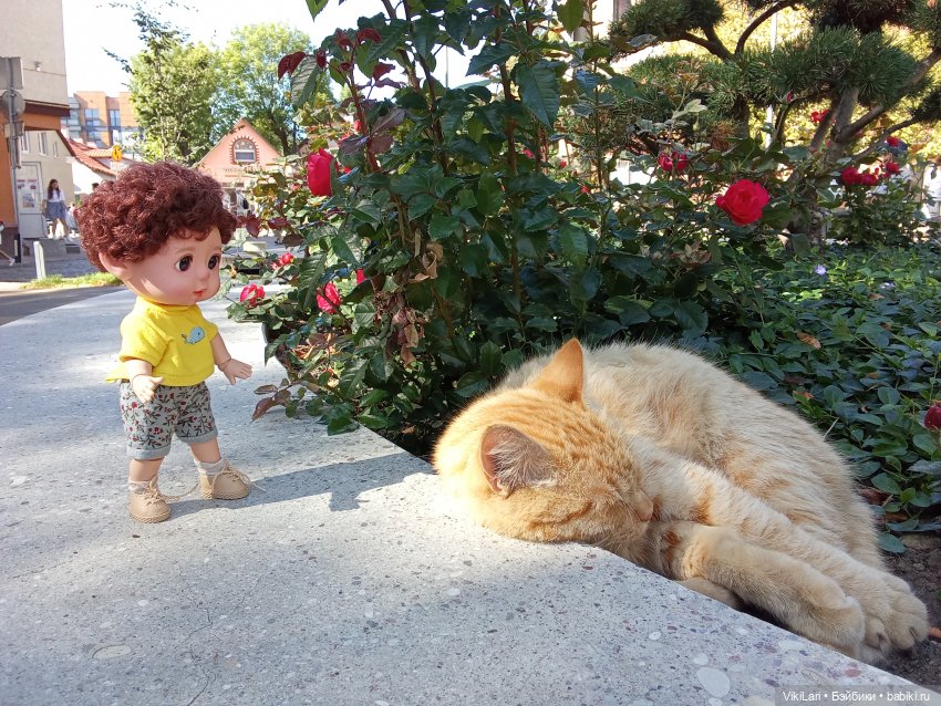 Выходной с Данькой — Игровые куклы разных производителей (Разное): редкие бренды (фото 5)