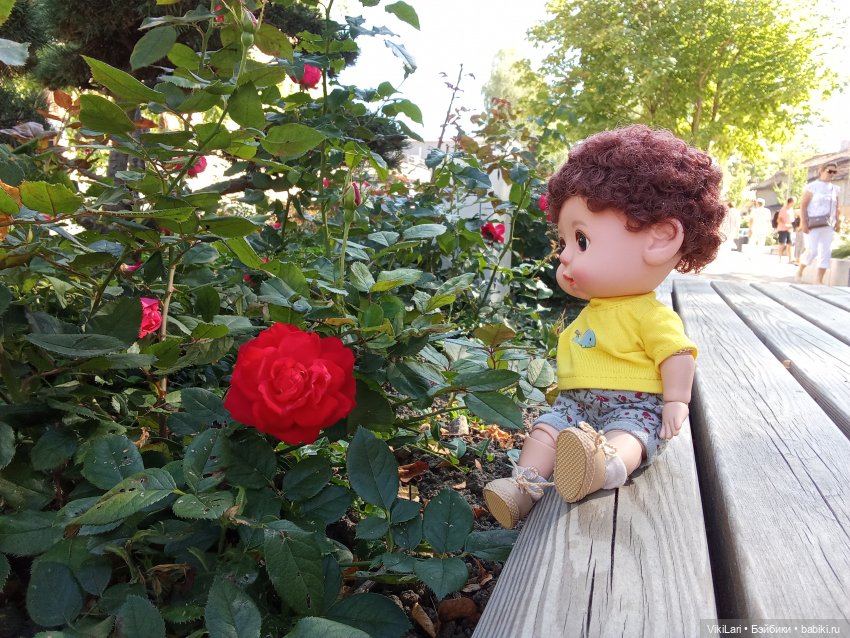 Выходной с Данькой — Игровые куклы разных производителей (Разное): редкие бренды (фото 6)