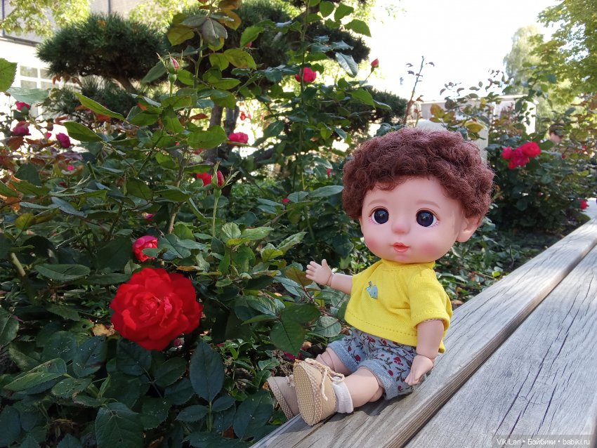 Выходной с Данькой — Игровые куклы разных производителей (Разное): редкие бренды (фото 7)