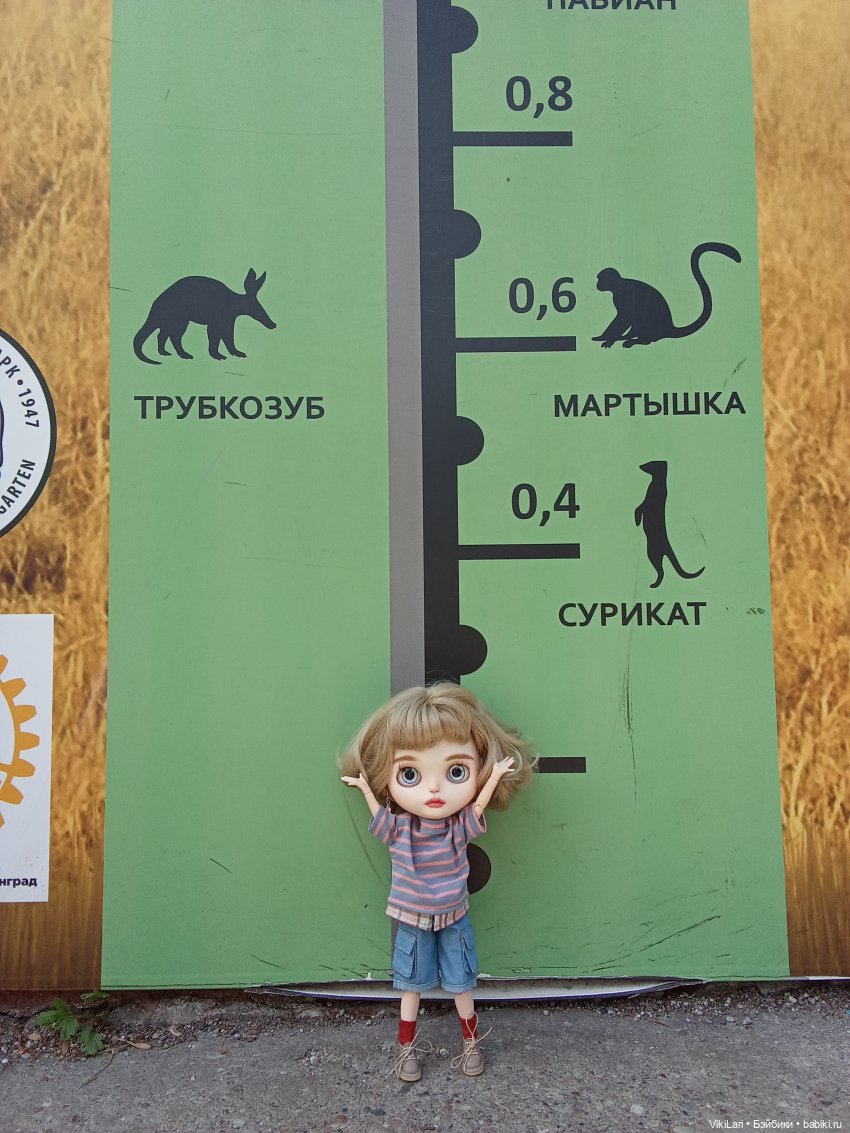 Фрося наблюдает — Куклы Blythe (Блайз) ООАК: кастом (фото 6)