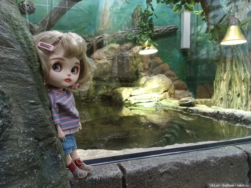 Фрося наблюдает — Куклы Blythe (Блайз) ООАК: кастом