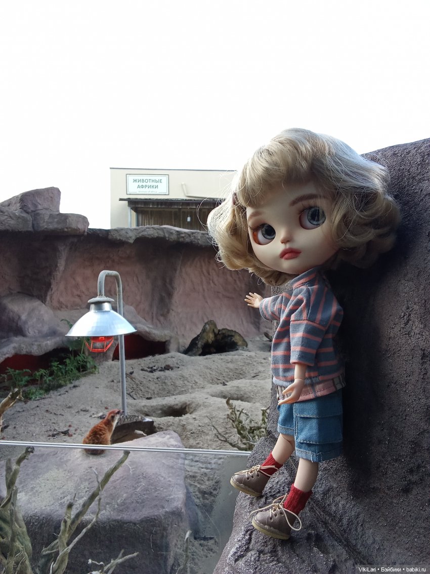 Фрося наблюдает — Куклы Blythe (Блайз) ООАК: кастом (фото 2)