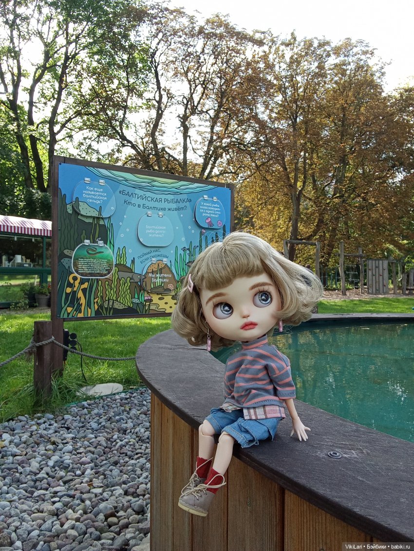Фрося наблюдает — Куклы Blythe (Блайз) ООАК: кастом