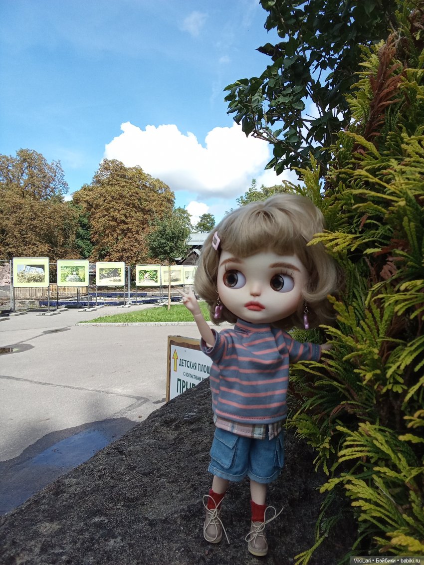 Фрося наблюдает — Куклы Blythe (Блайз) ООАК: кастом