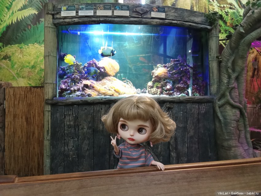 Фрося наблюдает — Куклы Blythe (Блайз) ООАК: кастом (фото 7)