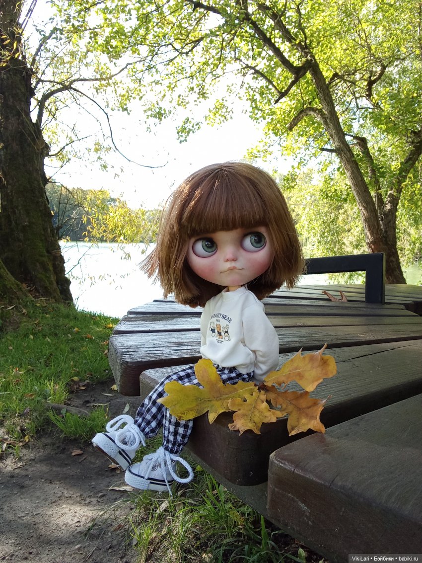 Тонин день — Куклы Blythe (Блайз) ООАК: кастом (фото 8)