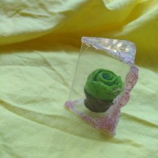 Многогранники для суккулентов