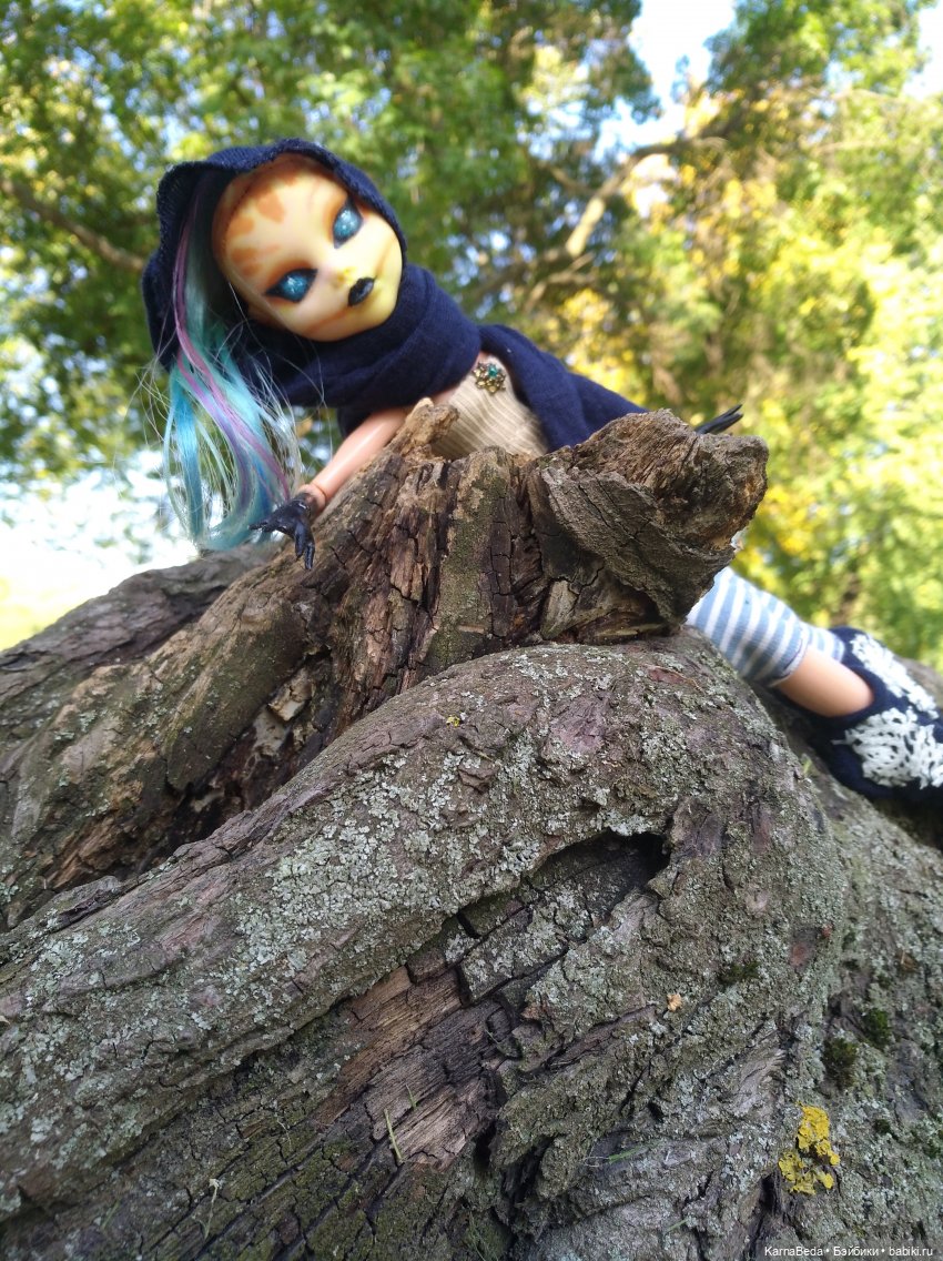 Дивора из Мортал Комбат — Куклы Monster High и Ever After High: G1