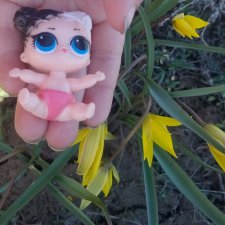 Кукловирус