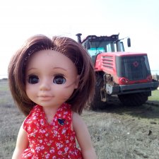 Вести с полей и поиски Калинки