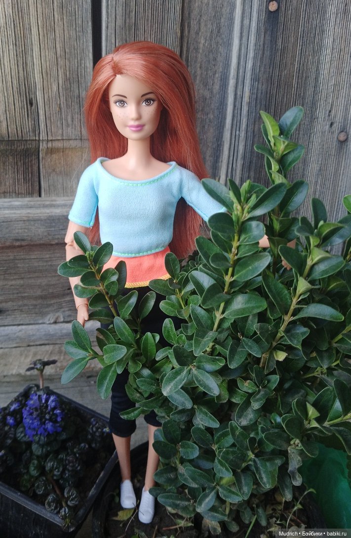 Собака и кукла. Вопрос | Бэйбики Собака и кукла. Вопрос — Куклы Barbie (Барби): Looks