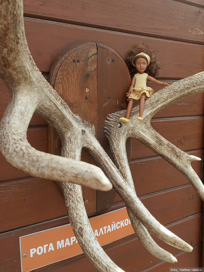 В зоопарке — Куклы Kathe Kruse (Кате/Кэте Крузе): фото (фото 8)