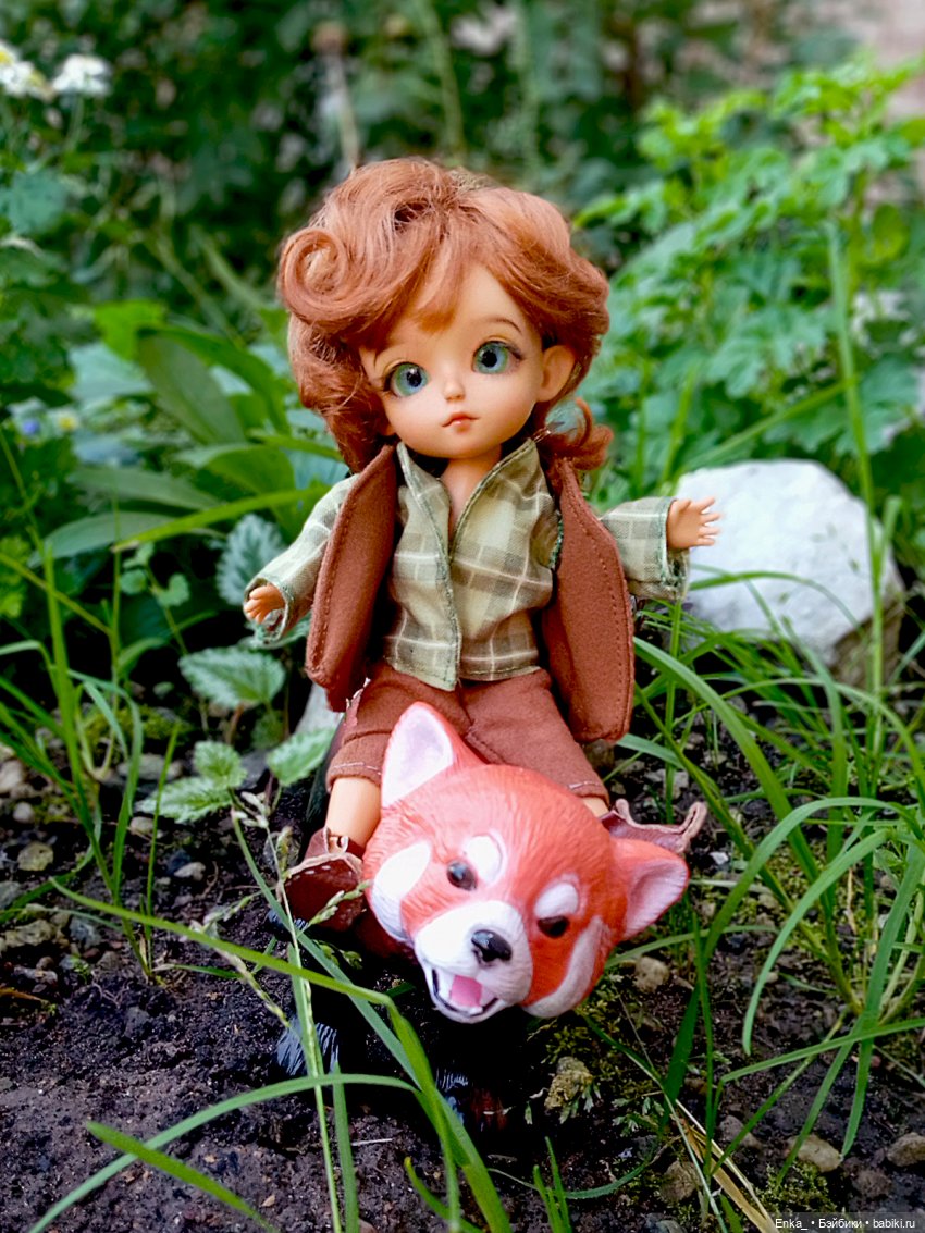 Питер и Теренс путешествуют