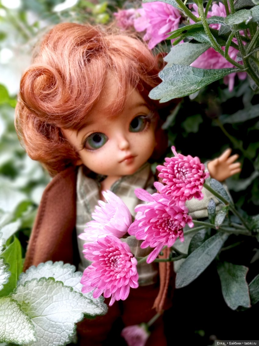 Питер и Теренс путешествуют (фото 5)