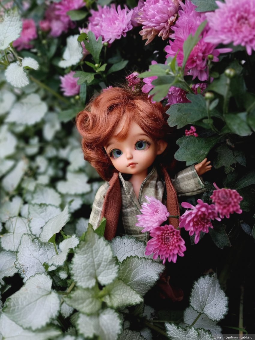 Питер и Теренс путешествуют (фото 4)