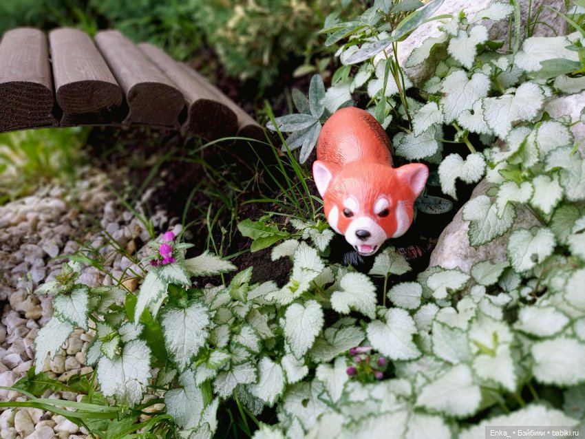 Питер и Теренс путешествуют (фото 7)