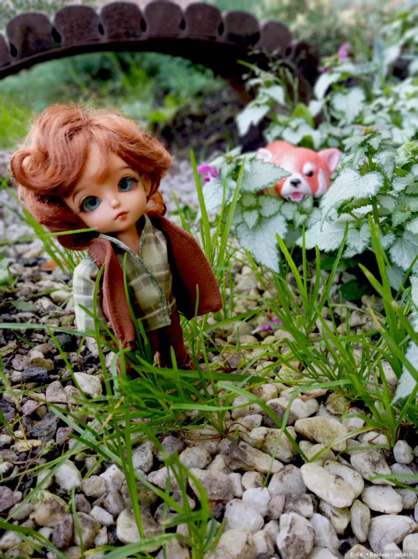 Питер и Теренс путешествуют (фото 3)