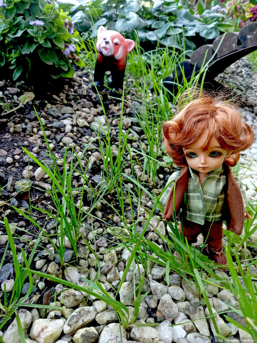 Питер и Теренс путешествуют (фото 2)