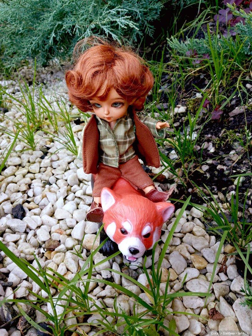 Питер и Теренс путешествуют (фото 10)