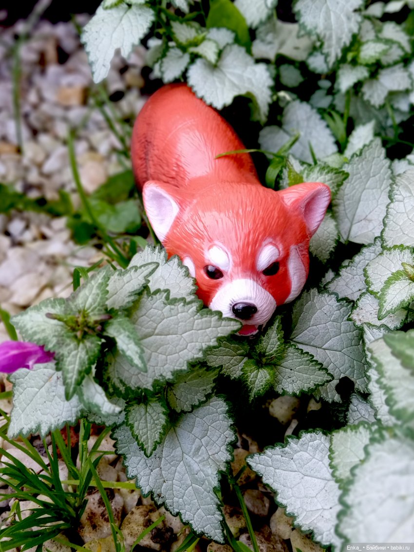Питер и Теренс путешествуют (фото 8)