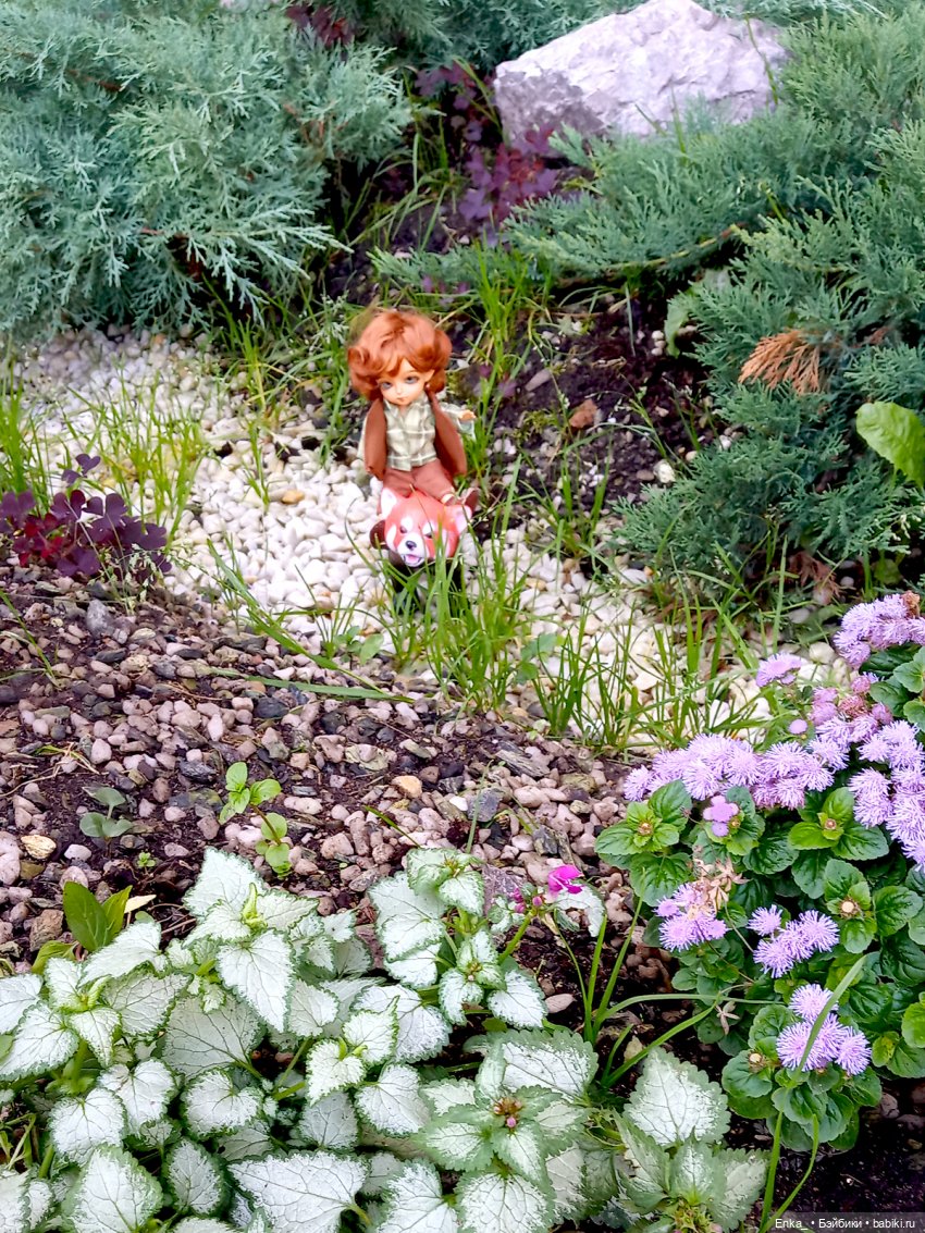 Питер и Теренс путешествуют