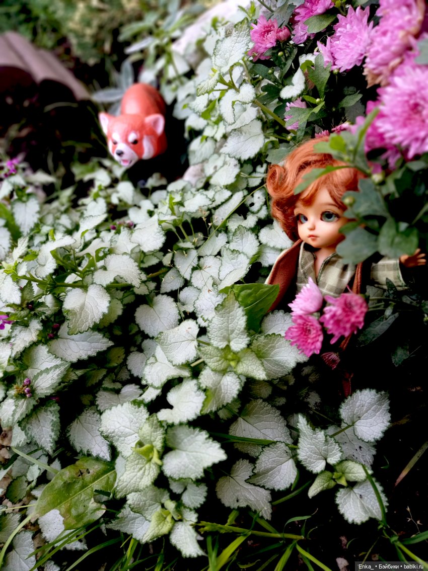 Питер и Теренс путешествуют (фото 6)