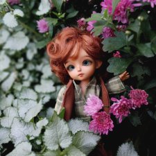 Питер и Теренс путешествуют