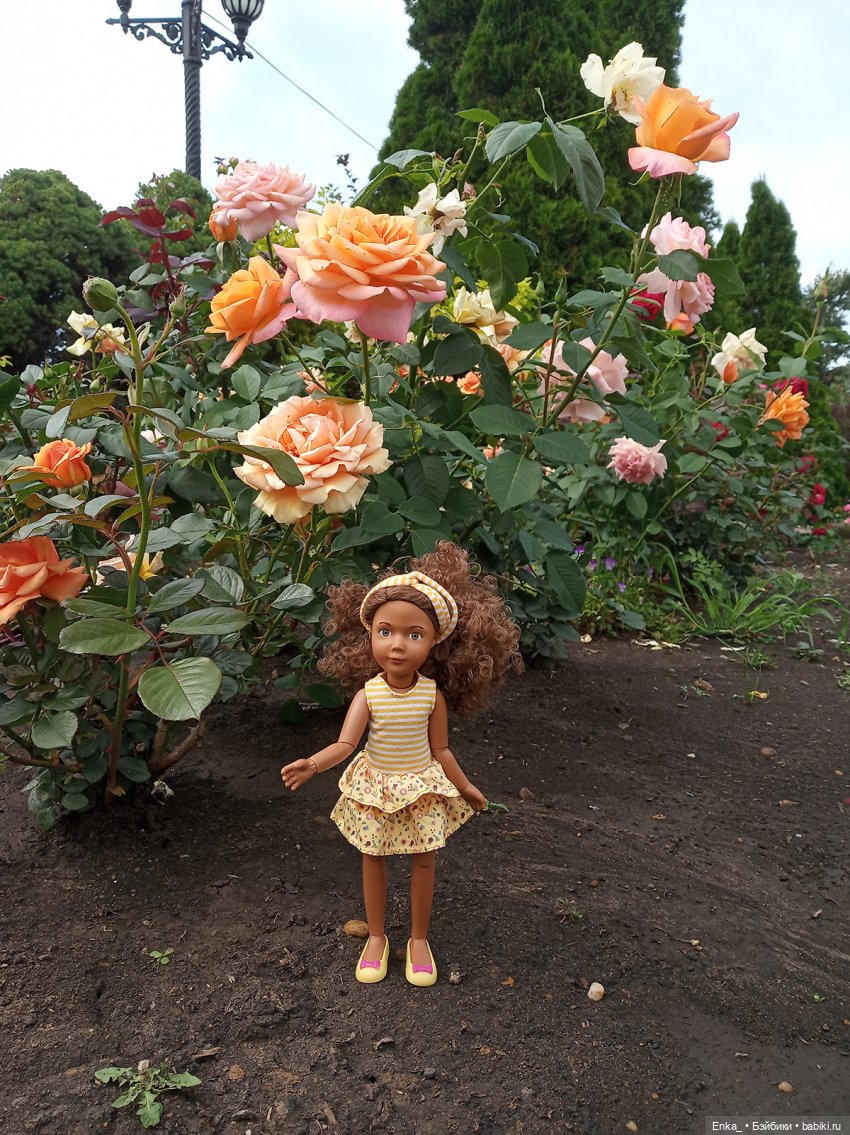 Прогулки по городу с Керри