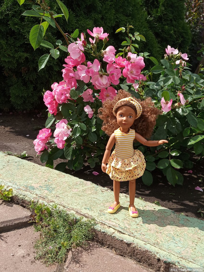 Прогулки по городу с Керри (фото 9)