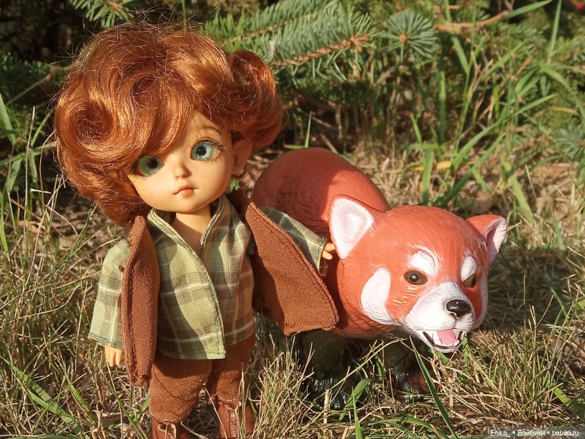 Питер и Теренс: хроники путешествия (фото 2)