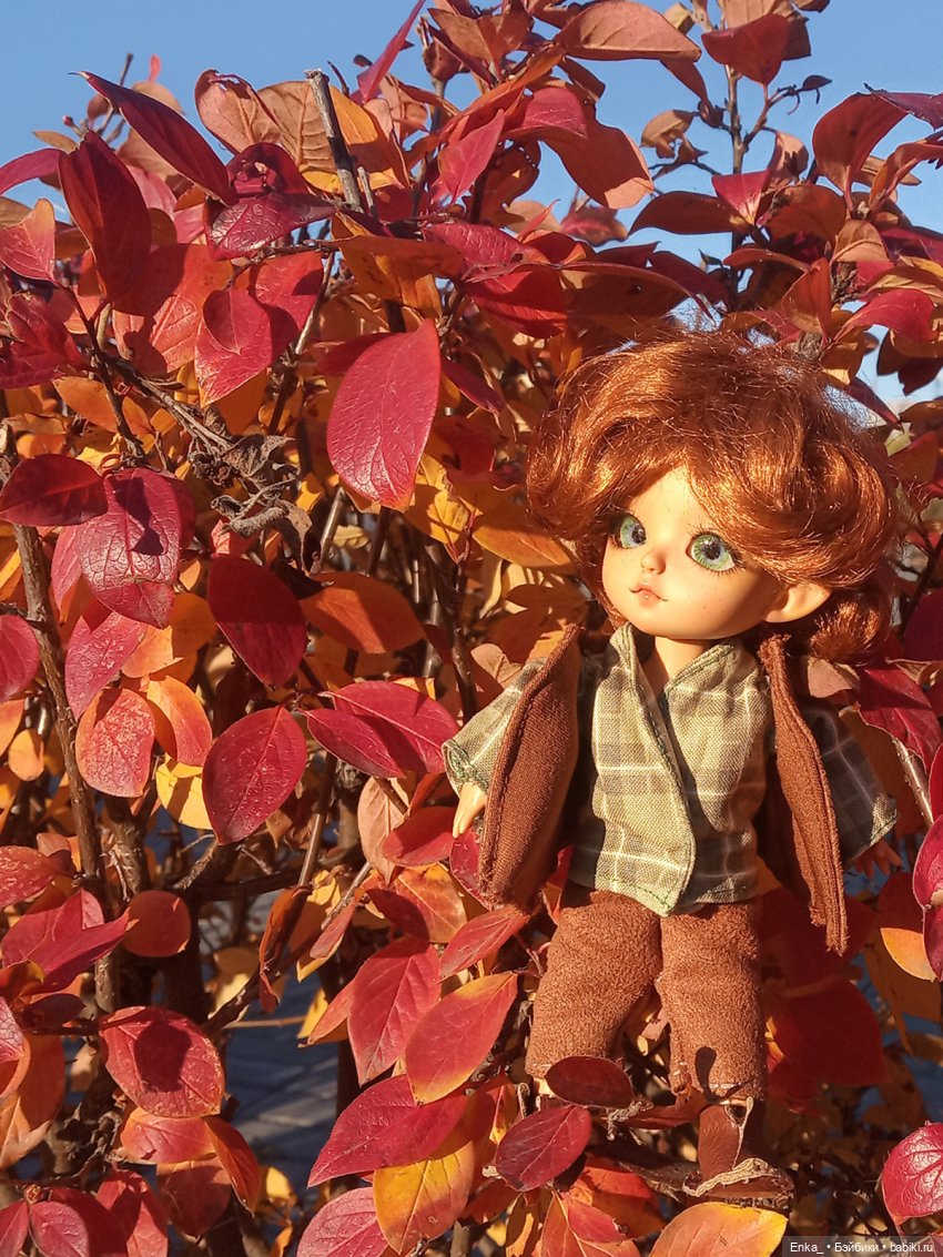 Осенние зарисовки: Питер — Куклы Latidoll (Лати): BJD (БЖД) (фото 7)